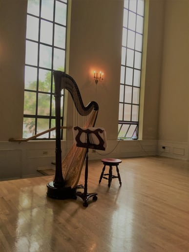 Gallery photo 1 of Harpist Naomi Chan