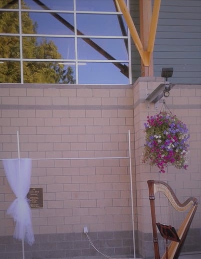 Gallery photo 2 of Harpist Naomi Chan