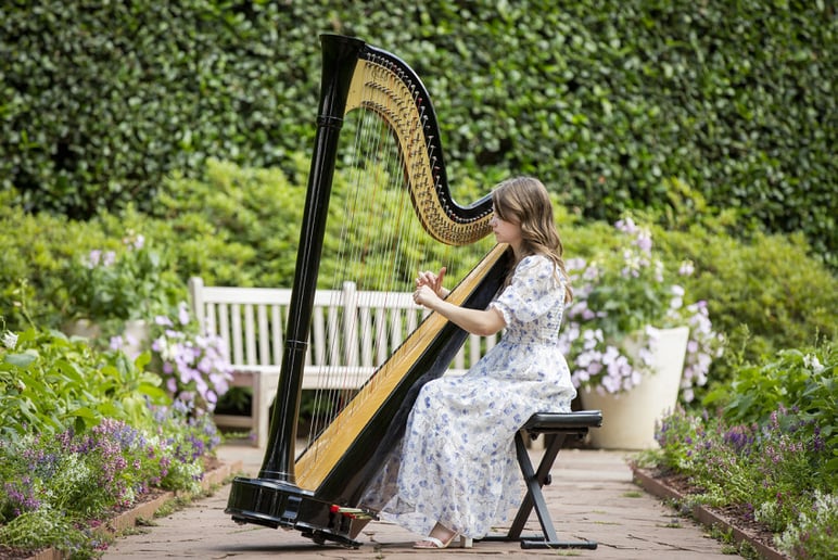 Gallery photo 1 of Harpist Nicole Lynn