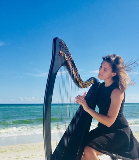 Gallery photo 2 of Harpist