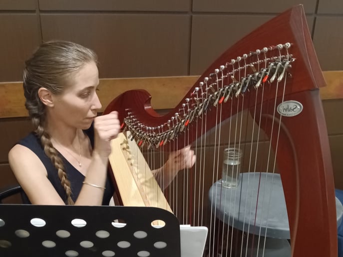 Gallery photo 8 of Melissa White Harpist