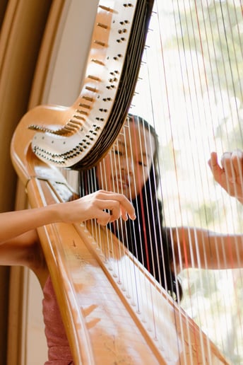 Gallery photo 3 of Harpist Shae
