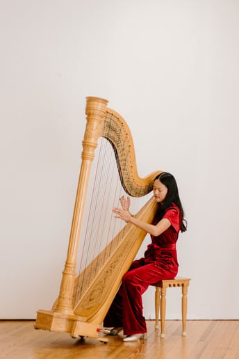 Gallery photo 5 of Harpist Shae