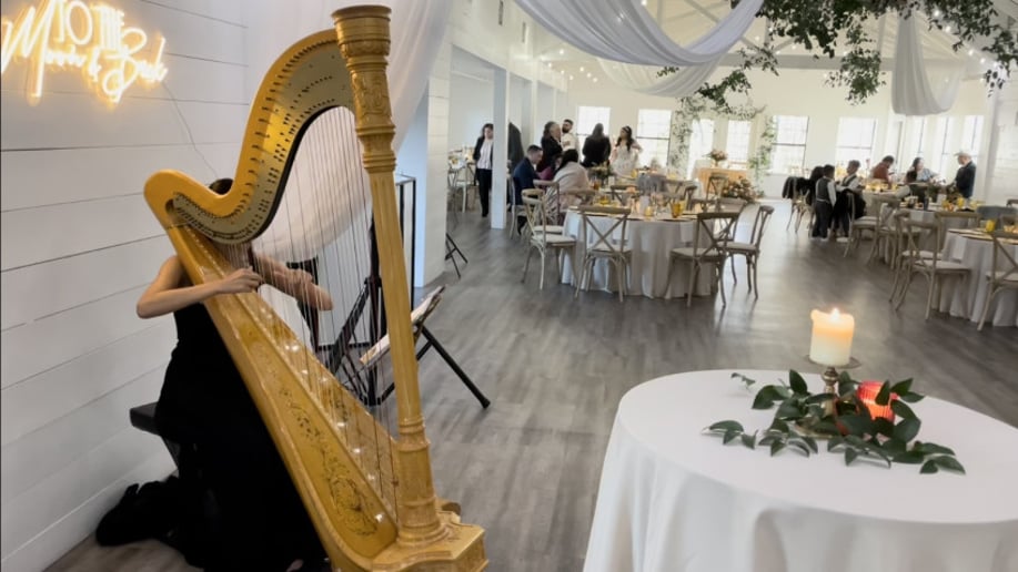 Gallery photo 2 of Harpist Shae