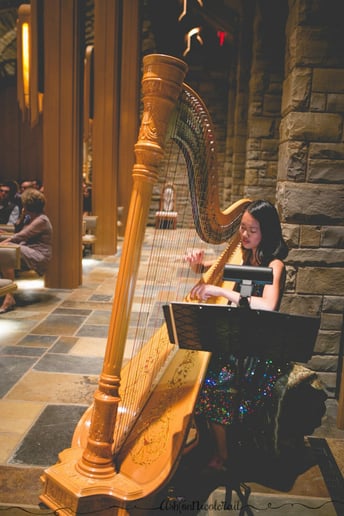 Gallery photo 1 of Harpist Shae