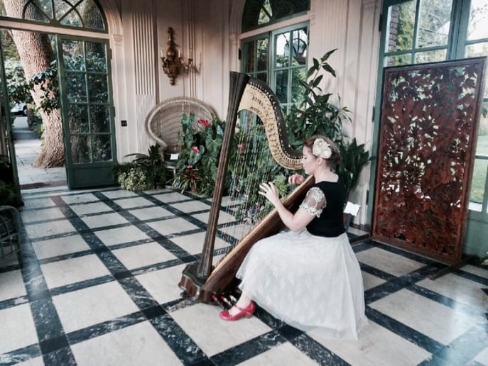Gallery photo 5 of Erica Messer: Master Harpist for Luxury Events