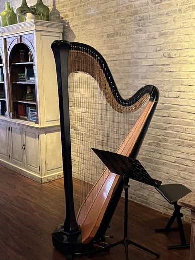 Gallery photo 4 of Harpist/Karolyn Witcher