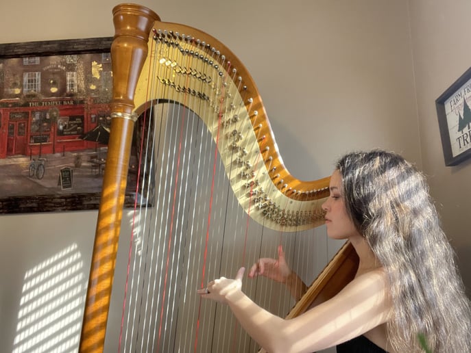 Gallery photo 1 of Harps of Praise