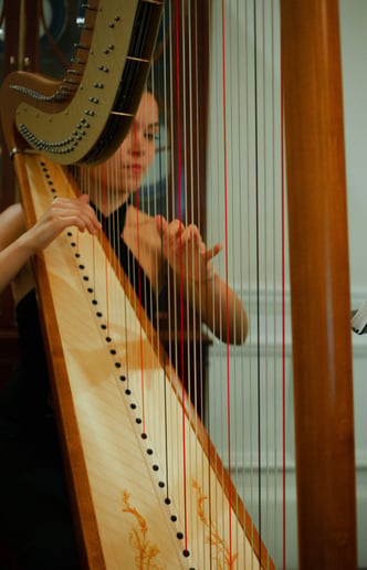Gallery photo 3 of Harps of Praise