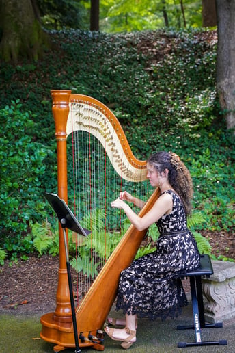 Gallery photo 4 of Harps of Praise