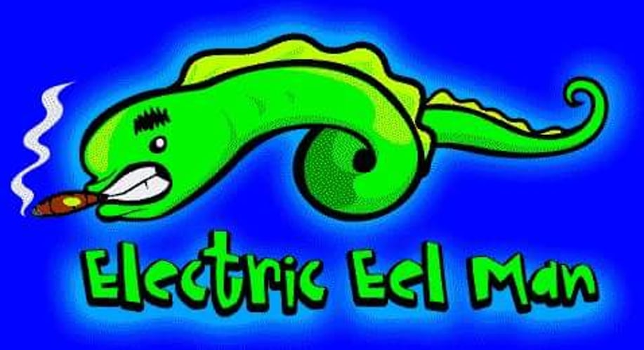 Gallery photo 1 of Electric Eel Entertainment