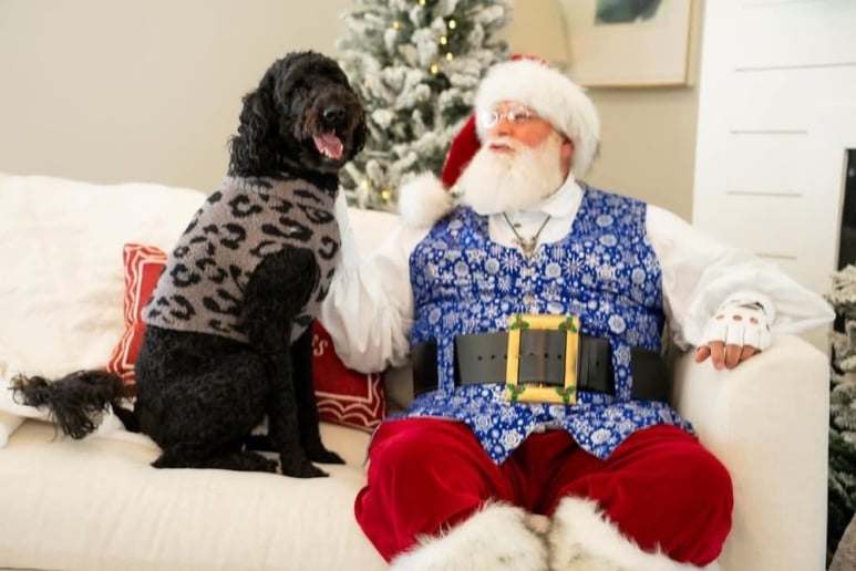 Gallery photo 13 of Harvest Santa