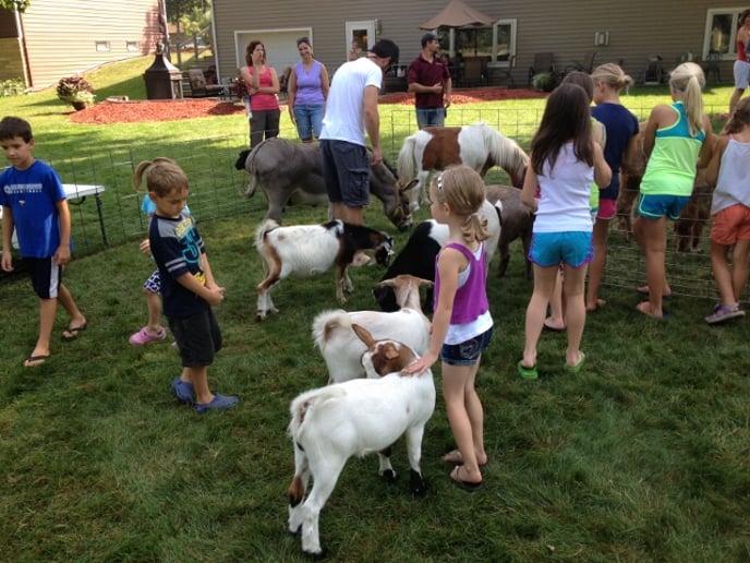 Gallery photo 3 of Hasse Family Mobile Petting Zoo