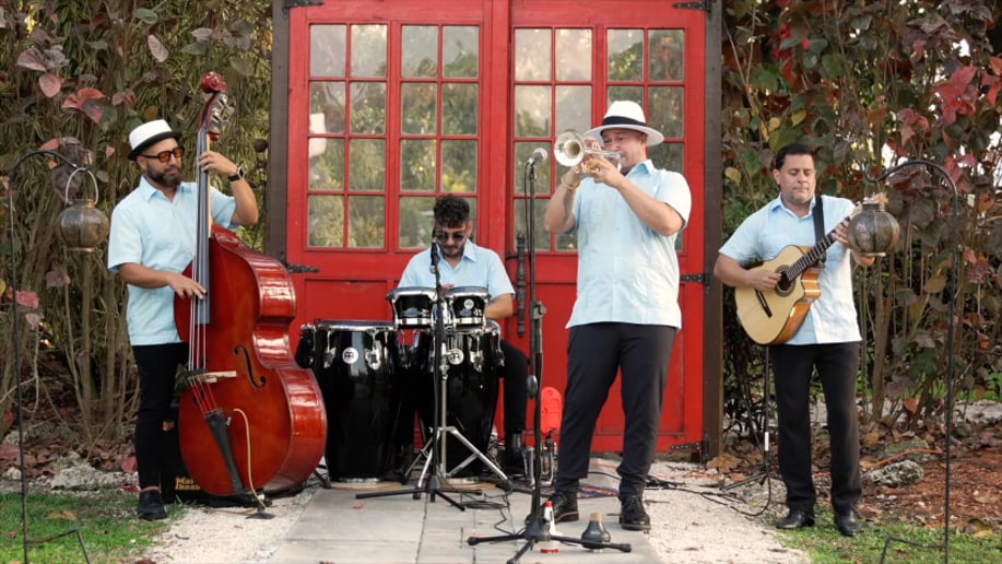 Gallery photo 1 of Havana's Brothers
