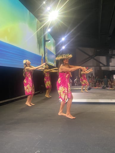 Gallery photo 27 of Hawaiian Dancers & Fire knife Dancers