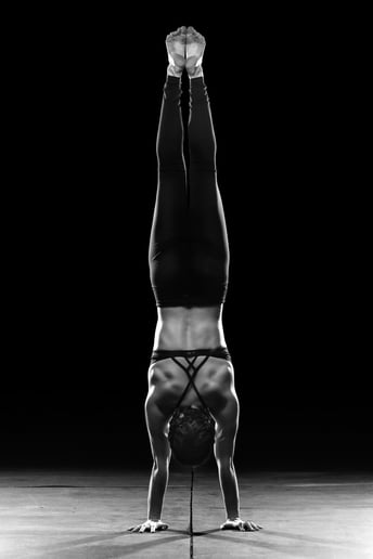 Gallery photo 3 of Hayley Larson Aerialist