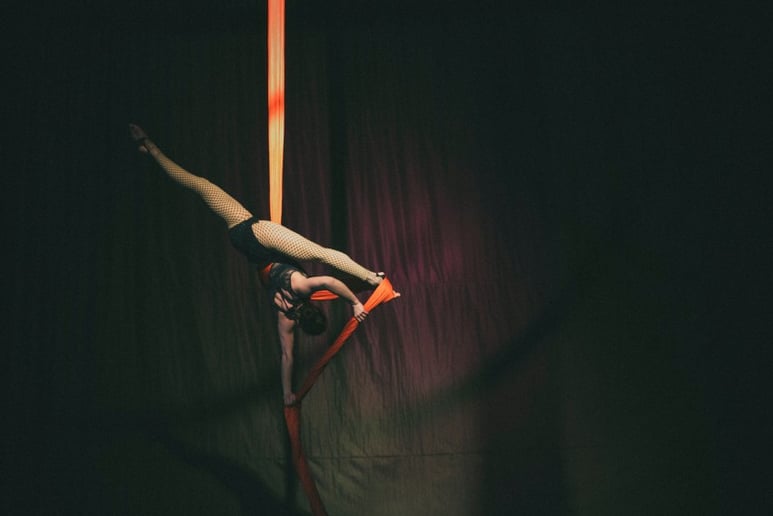 Gallery photo 4 of Hayley Larson Aerialist