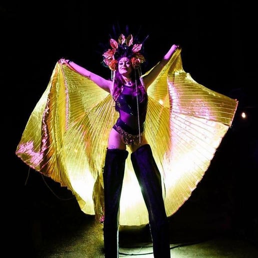 Gallery photo 1 of HeadSpin Entertainment