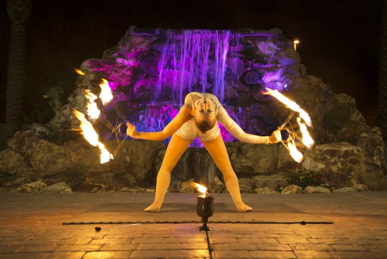 Gallery photo 4 of The Great Jessica Circus