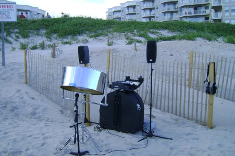 Gallery photo 7 of Minsky Delmonte-Happy Steel Drum Music