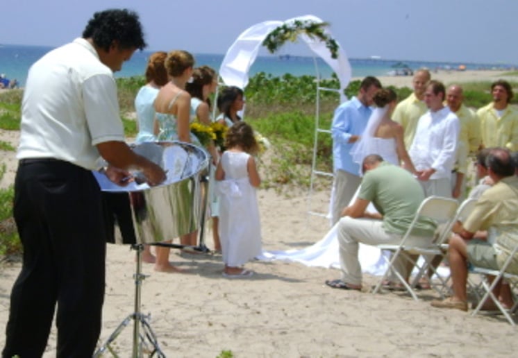 Gallery photo 9 of Minsky Delmonte-Happy Steel Drum Music