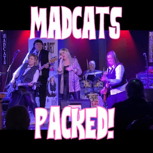 Gallery photo 10 of "Heart of Glass" Blondie Tribute Band