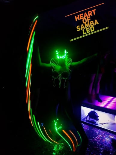 Gallery photo 51 of Heart of Samba Entertainment