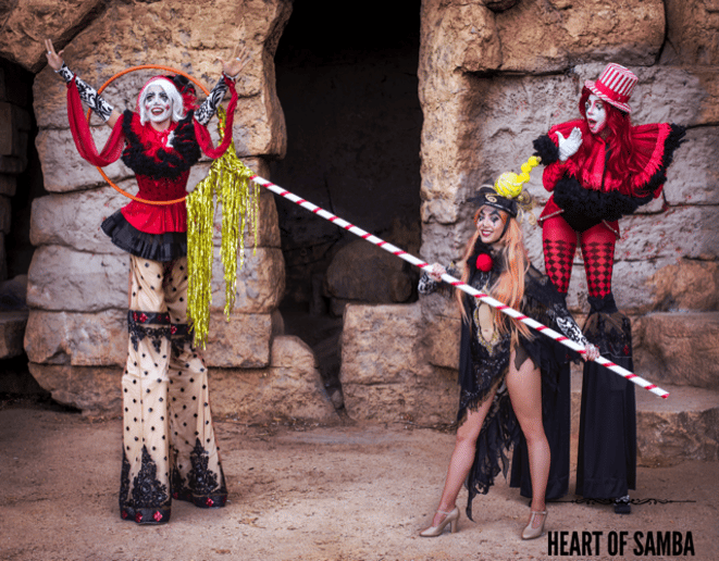 Gallery photo 7 of Heart of Samba Entertainment