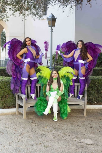 Gallery photo 12 of Heart of Samba Entertainment