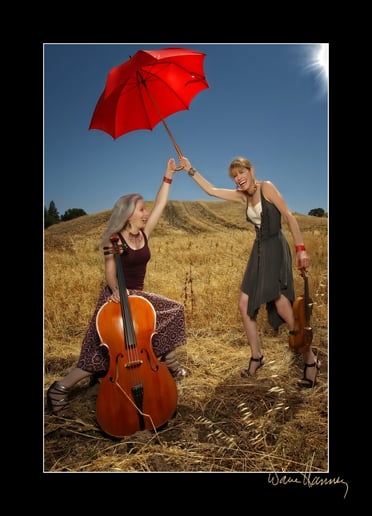 Gallery photo 10 of Musical Heart Strings