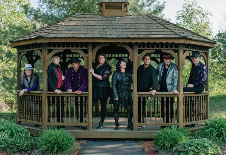 Gallery photo 8 of Heartless Tribute to Ann Wilson of Heart