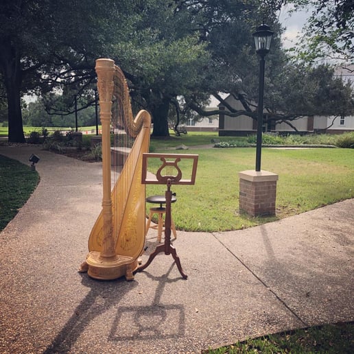 Gallery photo 3 of Heather Finley, Harpist