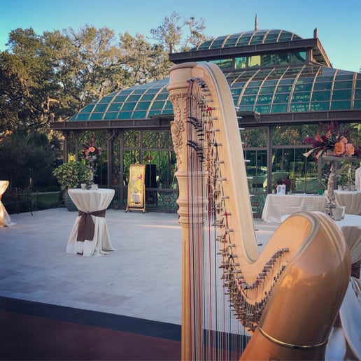 Gallery photo 5 of Heather Finley, Harpist