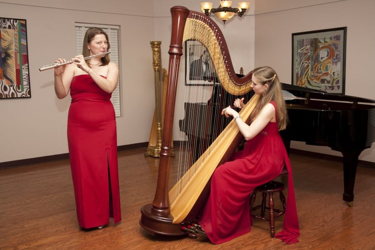 Gallery photo 4 of Heather Hills, Harpist