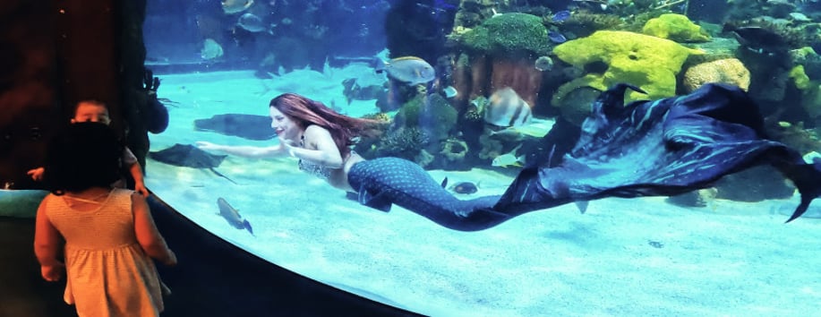 Gallery photo 16 of Heather Mermaid