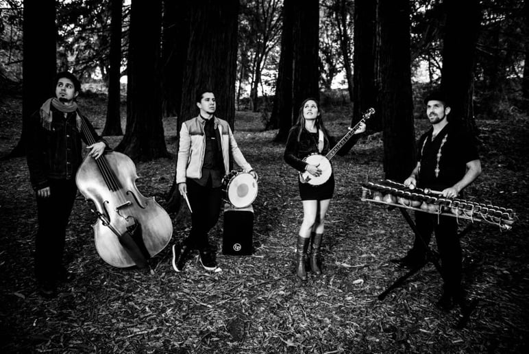 Gallery photo 2 of Heather Normandale Band