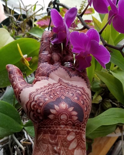 Gallery photo 6 of Heavenly  Henna  by  Leah