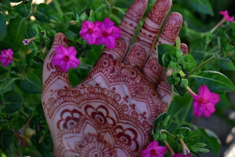 Gallery photo 10 of Intuitive Henna