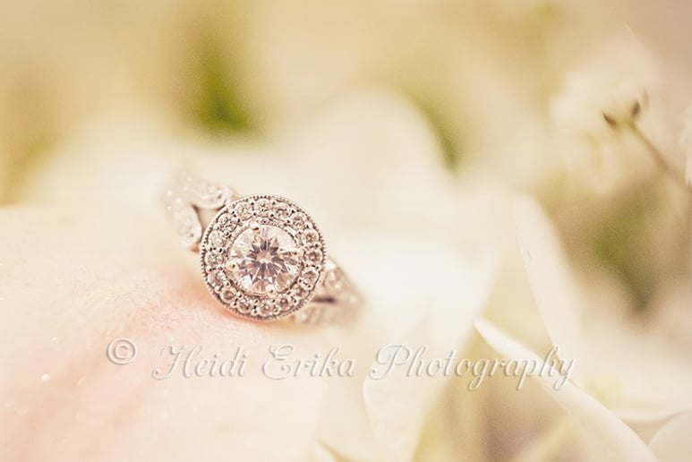 Gallery photo 6 of Heidi Erika Photography