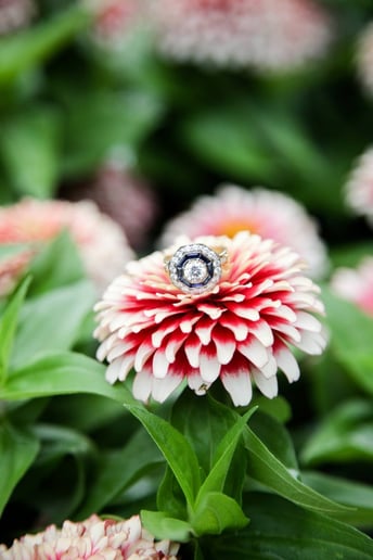 Gallery photo 7 of Heidi Hanson Photography