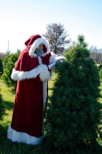 Gallery photo 5 of Heir of Nicholas Santa Services