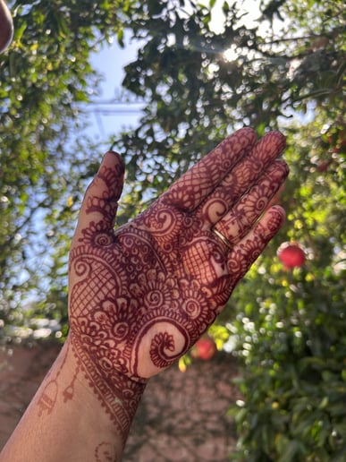 Gallery photo 9 of Henna  Twinkle