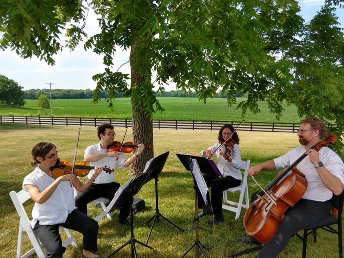 Gallery photo 2 of Heritage Hill String Quartet