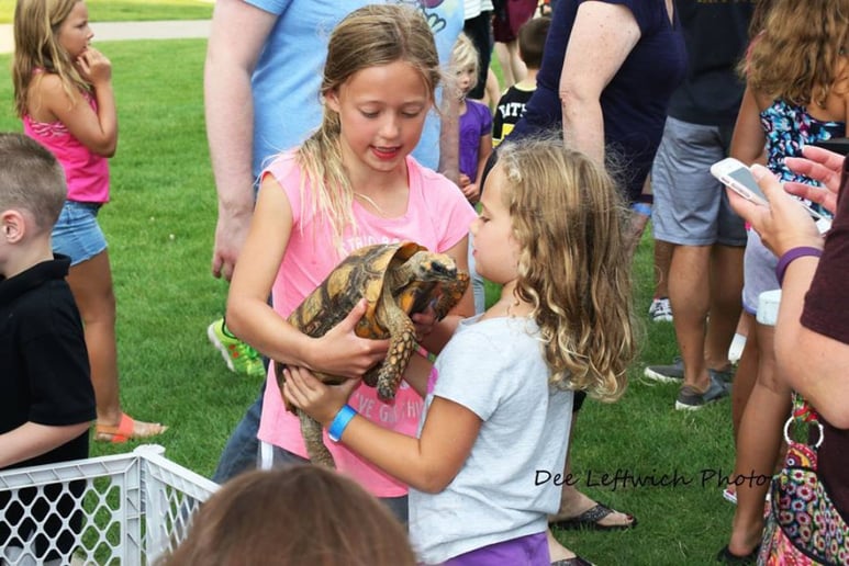 Gallery photo 1 of Herps Alive! The Interactive Reptile and Amphibian