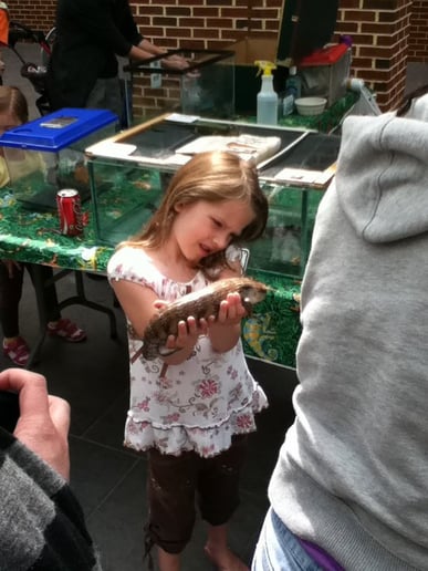 Gallery photo 4 of Herps Alive! The Interactive Reptile and Amphibian