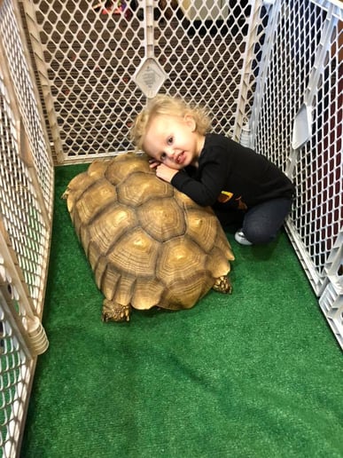 Gallery photo 5 of Herps Alive! The Interactive Reptile and Amphibian