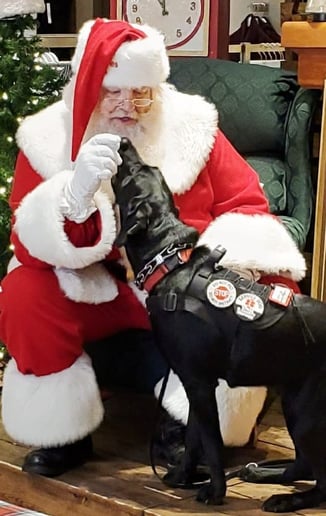Gallery photo 6 of Hey Santa, LLC