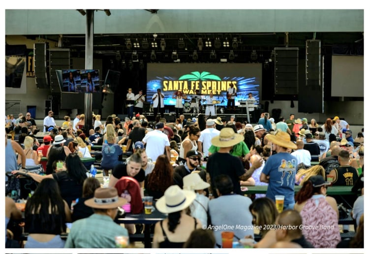 Gallery photo 3 of HGB (the harbor groove band)