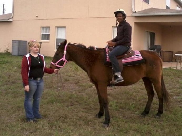 Gallery photo 5 of Pony Rides with Hidden Creek Farms Animal Rescue