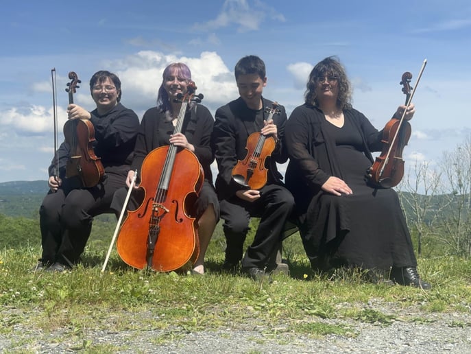 Gallery photo 1 of High Country Quartet